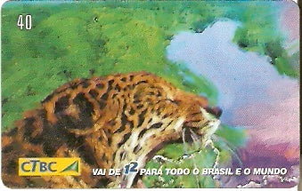 CTBC-T-0730 - Quem liga usa o 12 - 1/8